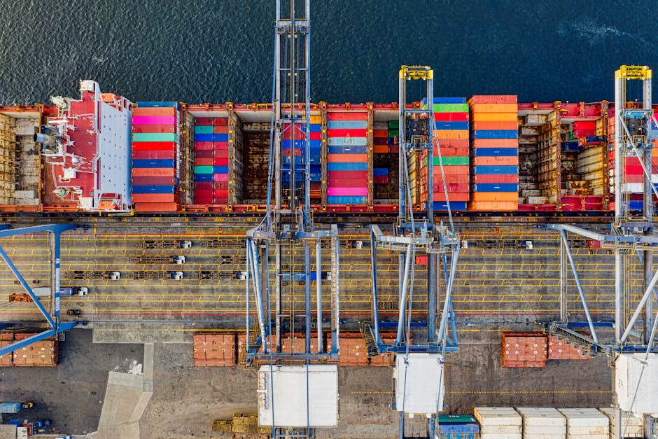 Latvian customs ports